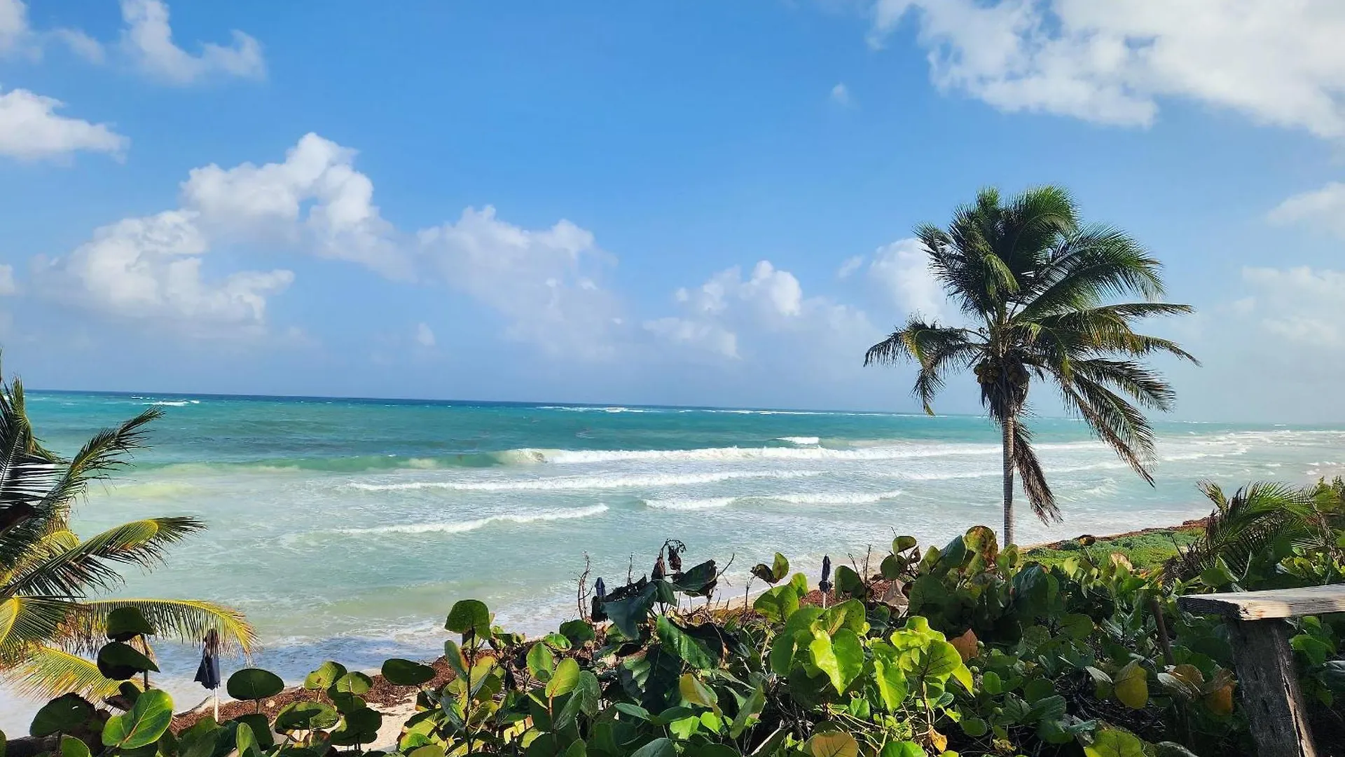 Casa Tres Recamaras: Jungle Views, Shared Pool & Prime Location Villa Tulum