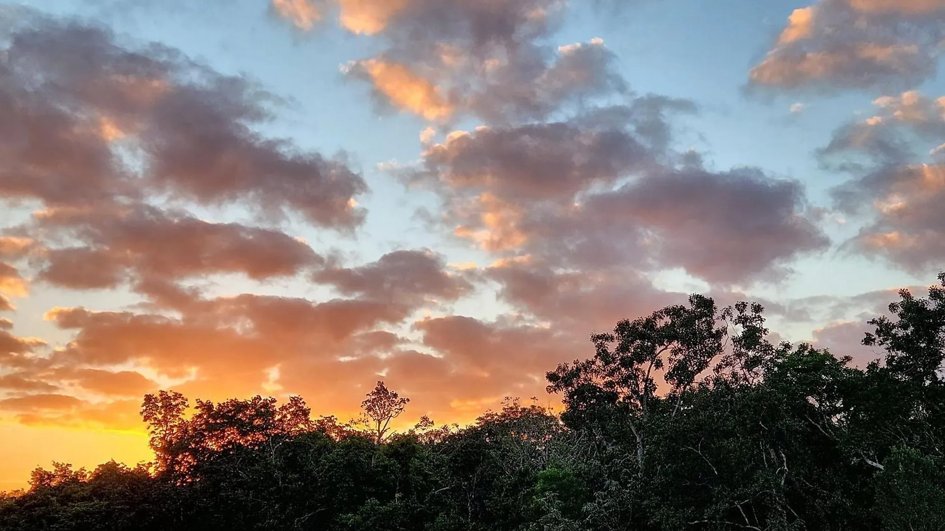 Holiday home Casa Tres Recamaras: Jungle Views, Shared Pool & Prime Location Villa Tulum Mexico